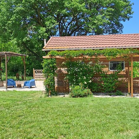 Chalet De Provence Αιξ-αν-Προβάνς Εξωτερικό φωτογραφία
