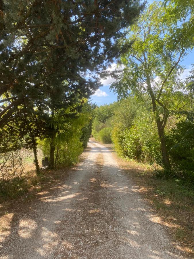Chalet De Provence Αιξ-αν-Προβάνς Εξωτερικό φωτογραφία